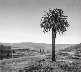 First Transcontinental No 4 1991, Gelatin silver print